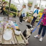 Vases, plants, pots, flowers and even a furry friend all to be found at GROW London! Vases, plants, pots, flowers and even a furry friend all to be found at GROW London!