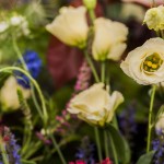 Beautiful flowers on show at the fair Beautiful flowers on show at the fair
