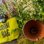 Our GROW bag and Ticket Shed floral arrangement by Shane Connolly Our GROW bag and Ticket Shed floral arrangement by Shane Connolly